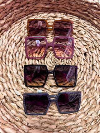 Lake Day Sunnies